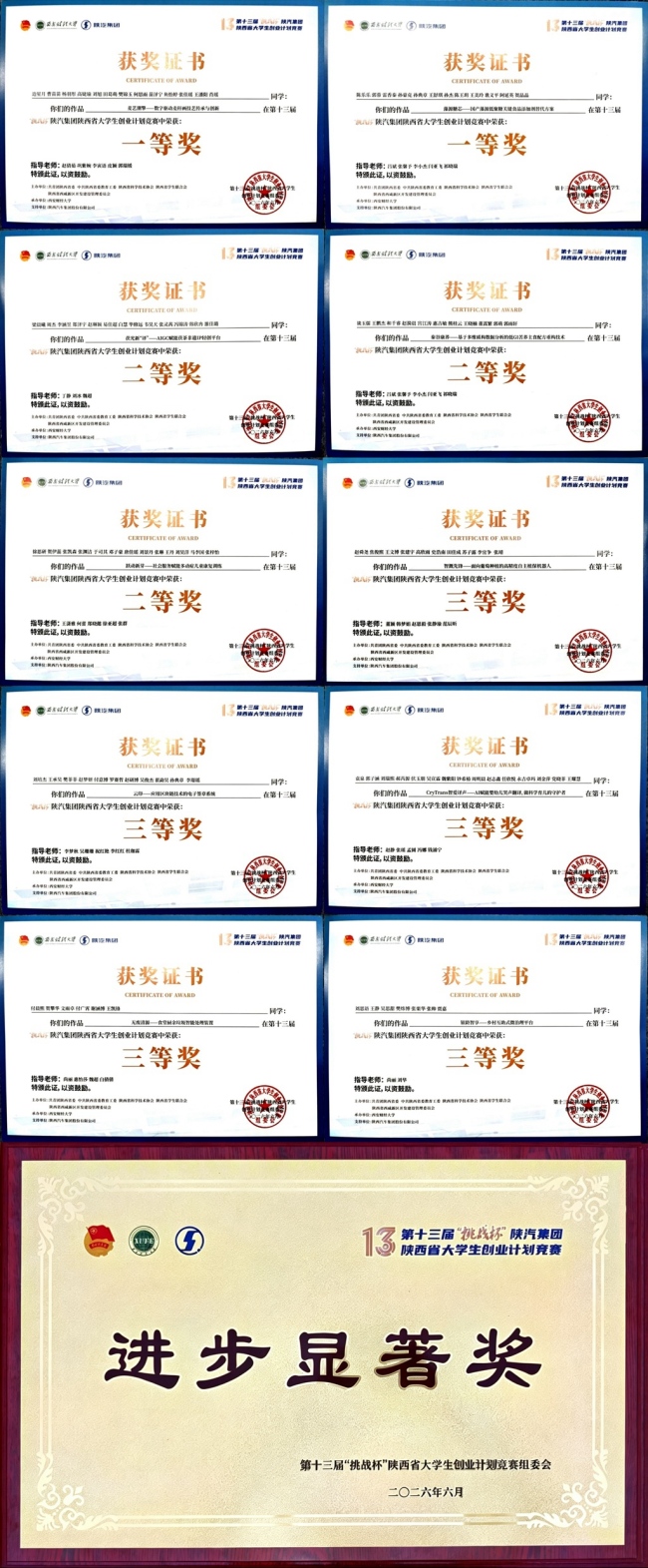 获奖证书与奖牌