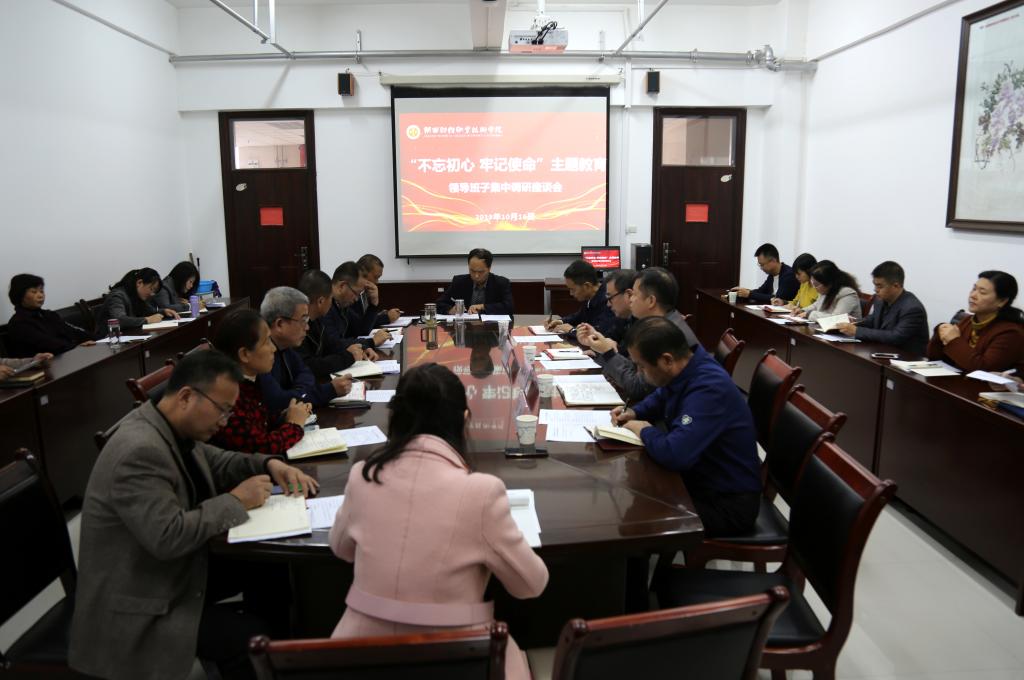 主题教育领导班子第三次集中调研座谈会