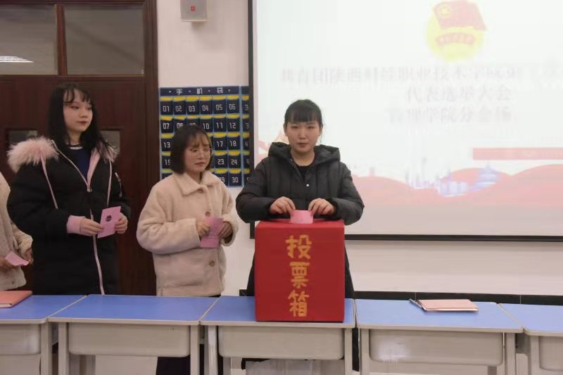 管理学院选举现场